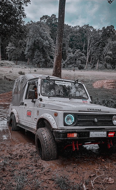 球获得了很 球获得了很