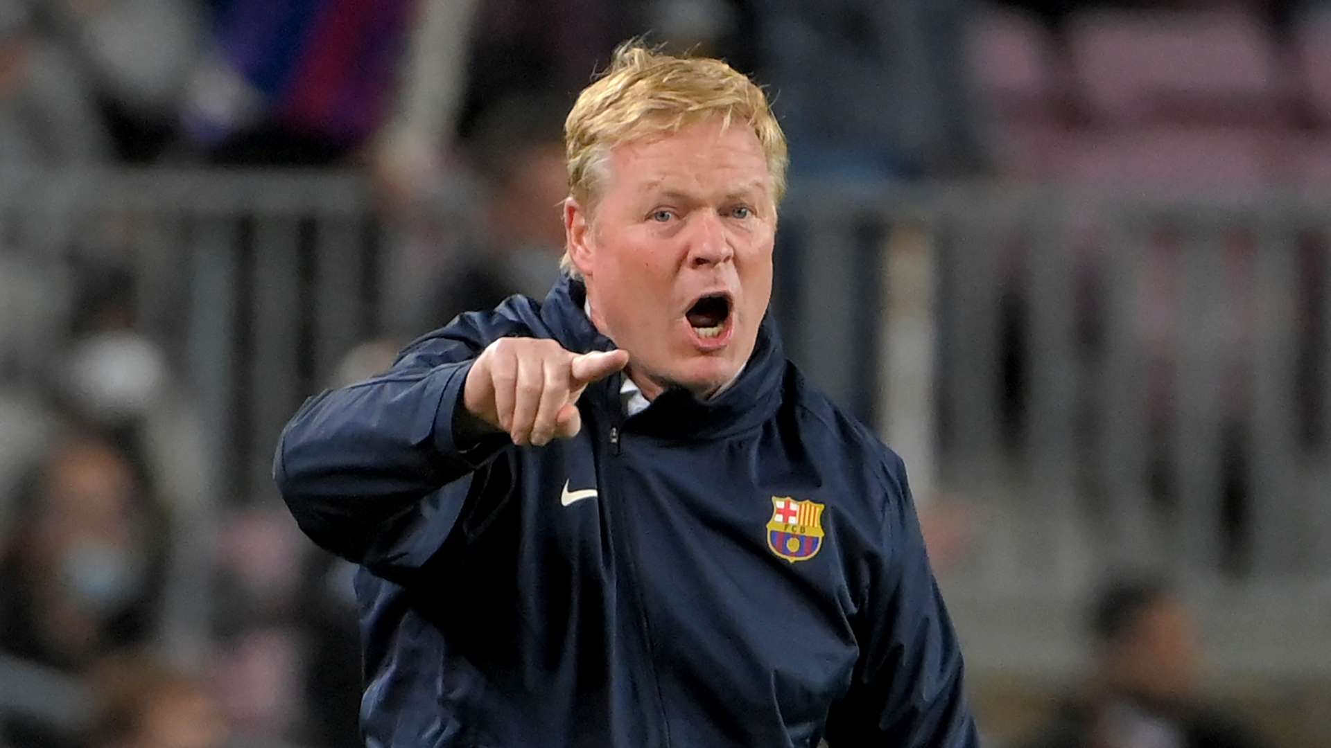 表现格外引 表现格外引