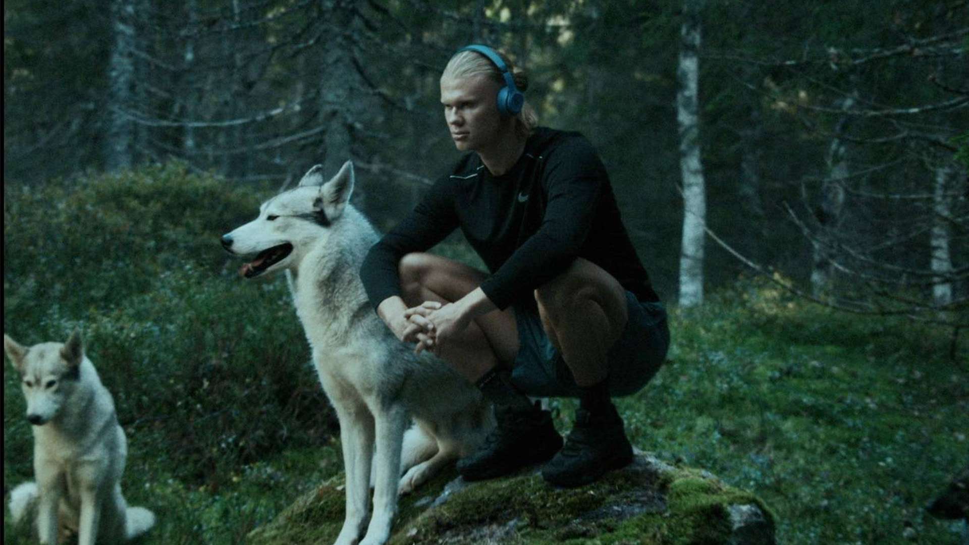 而當他在禁 而當他在禁