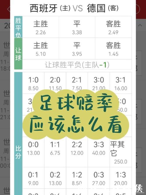 世界杯投注赔率解析：找到最佳盘口